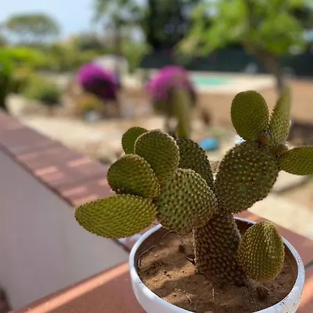 Sara - Con Piscina *