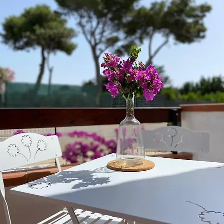 Sara - Con Piscina *