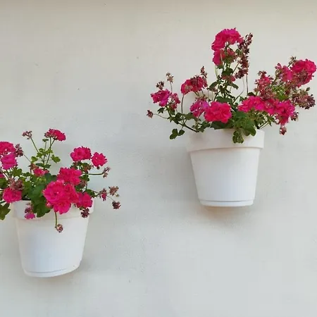 Sara - Con Piscina Villa *