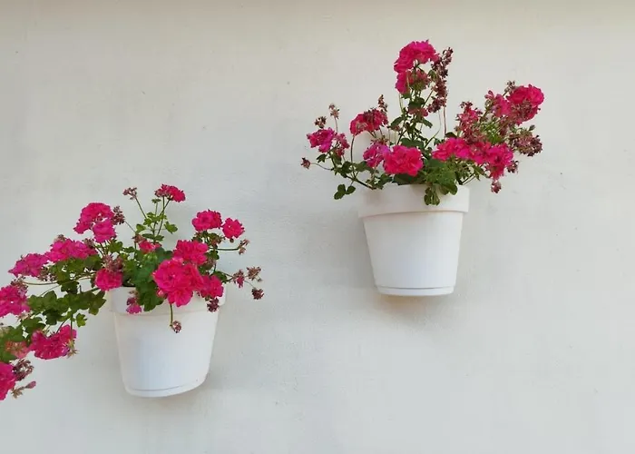 Sara - Con Piscina Villa *